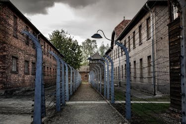 Auschwitz-Birkenau en Wieliczka-zoutmijn eendaagse tour vanuit Krakau